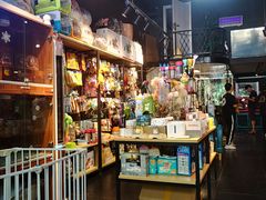 -Goku PET SHOP宠物视觉生活馆(双井店)