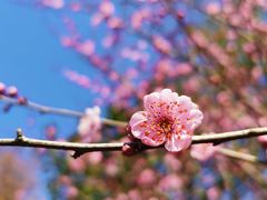 -西溪天堂商业街-停车场