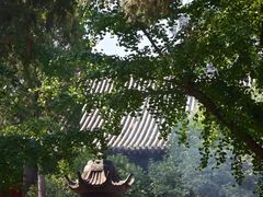 -洛阳白马寺