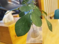 -村上一屋(望京店)