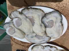 -濠轩阁特色生蚝火锅总店