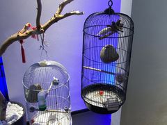 -悦融·京鲁菜·露台花园(安定门店)