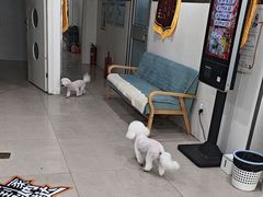 -佳雯宠物医院·皮肤科·内外科(春晓路分院)