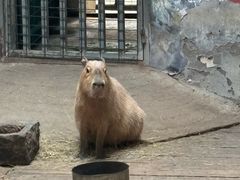 -石家庄市动物园