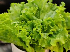 -胡悦里韩式烤肉(芝罘万达广场店)