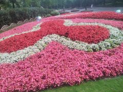 -上海共青森林公园