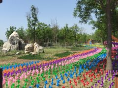 -武清南湖绿博园