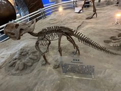 -国家自然博物馆