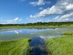 -塞罕坝国家级自然保护区