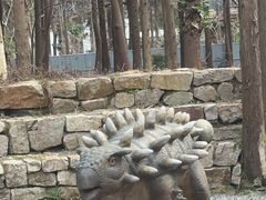 -东平国家森林公园