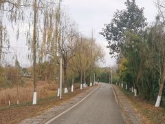 -白鹭湾湿地公园