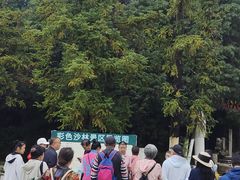 -彩色沙林风景区