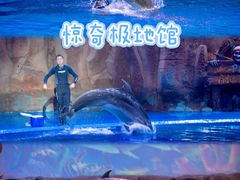 -华夏文旅西安度假区