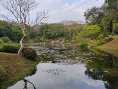 -云溪植物园