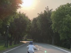 -福建鲤鱼洲酒店