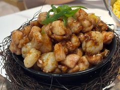 -丁老爷子苏香圆