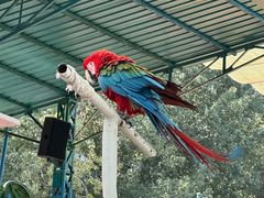 -北京野生动物园