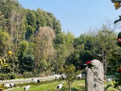 -杭州野生动物世界