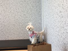 -喜茶(南京仙林金鹰店)