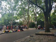 景点-鲁迅公园