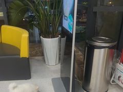 -谐和贝康宠物医院24小时·宠保定点(急重症转诊中心)