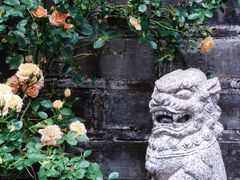 -老门东历史文化街区