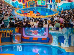 -海合安武汉极地海洋公园