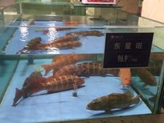 -旺顺阁海鲜广场(亚运村店)