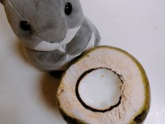 -志龙皇冠吃货椰子铺