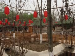 -草根堂农场
