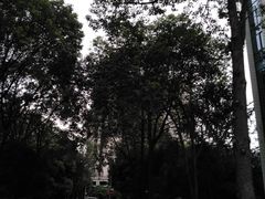 -西南交通大学(九里校区)