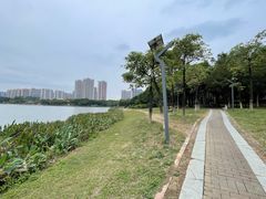 -飞来湖湿地公园