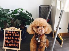 -沙青(江场二路店)