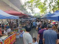 -西双版纳傣族园