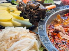 -销魂美蛙鱼头火锅(上海首店)