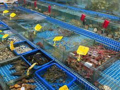 -滑记海鲜饭店·老字号(海鲜街店)