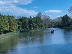 -溱湖国家湿地公园