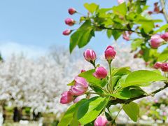 -元大都城垣遗址公园