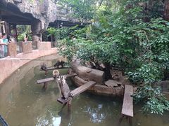 -长鹿旅游休博园