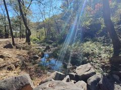 -鲁山国家森林公园