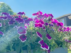 -瑞博尔花园酒店(太周创新产业园店)