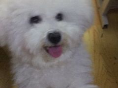 -康乐宝动物医院