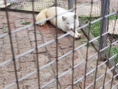 -武汉紫薇都市田园