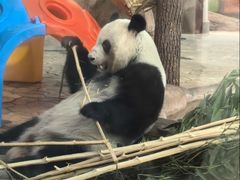 -祥源·阜阳生态乐园