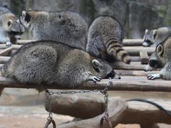 -杭州野生动物世界