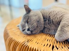 -Me Coffee下午茶艺术空间