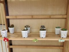 -海底捞火锅(泰安爱琴海店)