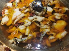 -雲蜀龙阁·金牌水煮鱼(方庄店)