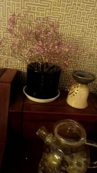 -Girmainy SPA杰美妮