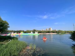 -大兴滨河森林公园